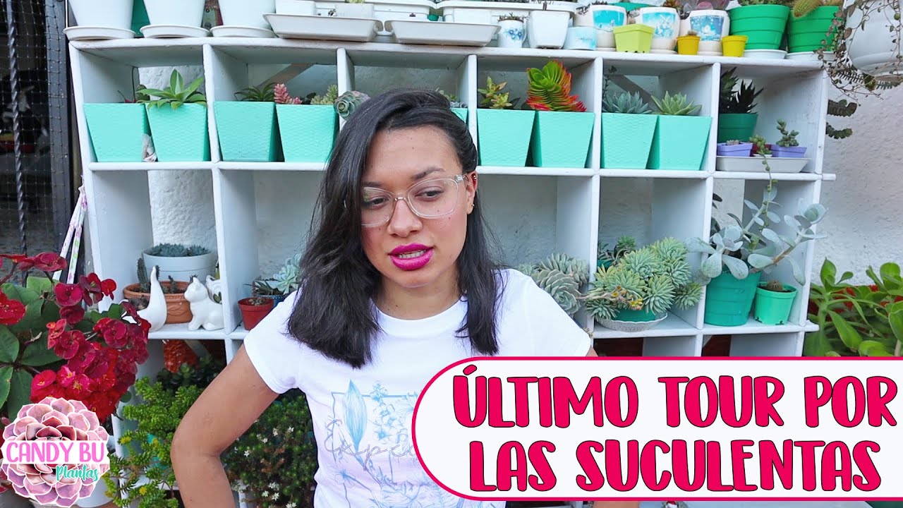 Despidiéndome de este JARDÍN DE SUCULENTAS│Candy Bu