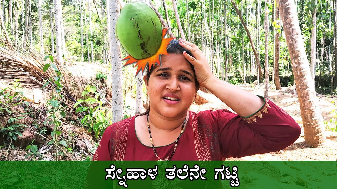 ಬಹುಷಃ ನಮ್ಮ ಕೊನೆಯ ವಿಡಿಯೋ ಆಗ್ತಿತ್ತೋ ಏನೋ Sneha's Horrible Adventure - Kannada Vlogs - Mr and Mrs Kamath