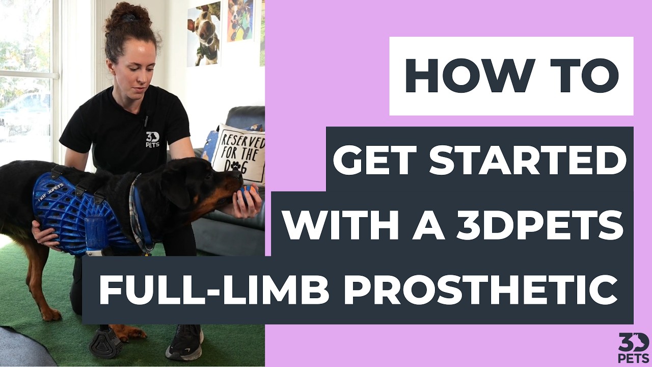 3DPets Full Limb Prosthetic Training Video