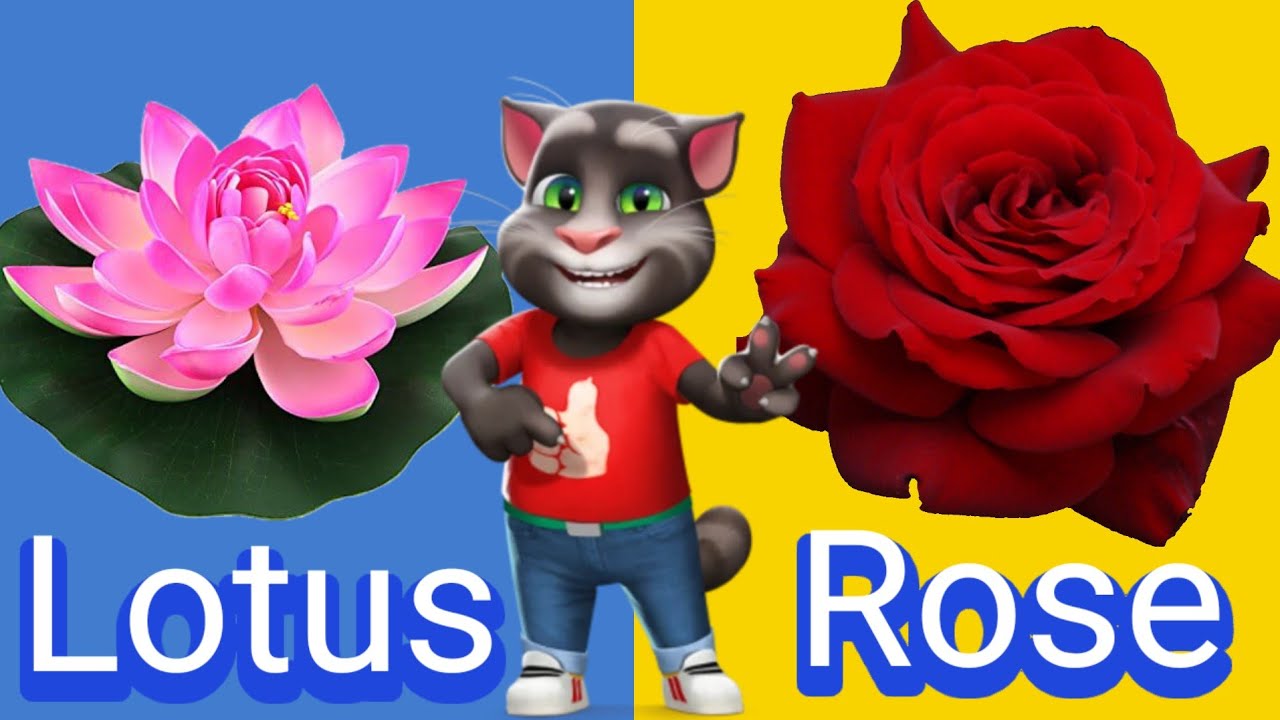 🌸 10 Flowers Name | Phoolon ke Naam English aur Hindi Mein 🌸 | Flower Names With Spelling | RudraSN