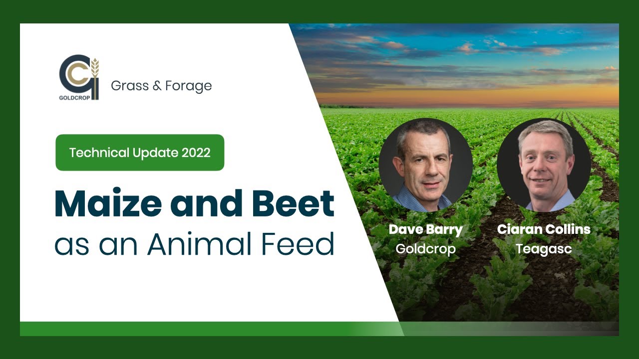 Goldcrop’s Maize & Beet Technical Webinar 2022
