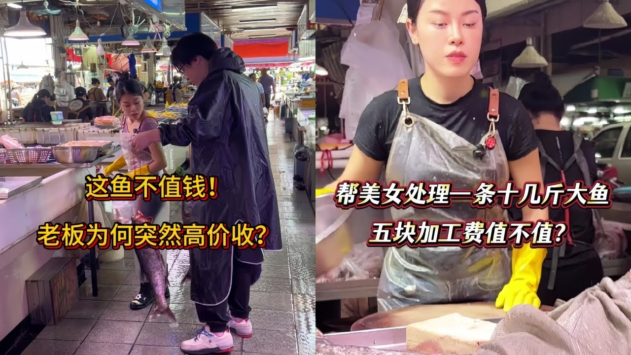 这鱼不值钱，老板为何突然高价收？｜收5元帮处理一条十几斤的大鱼，最后竟然这样做？｜得知可怜小伙卖鱼原因，老板娘竟然这么做？