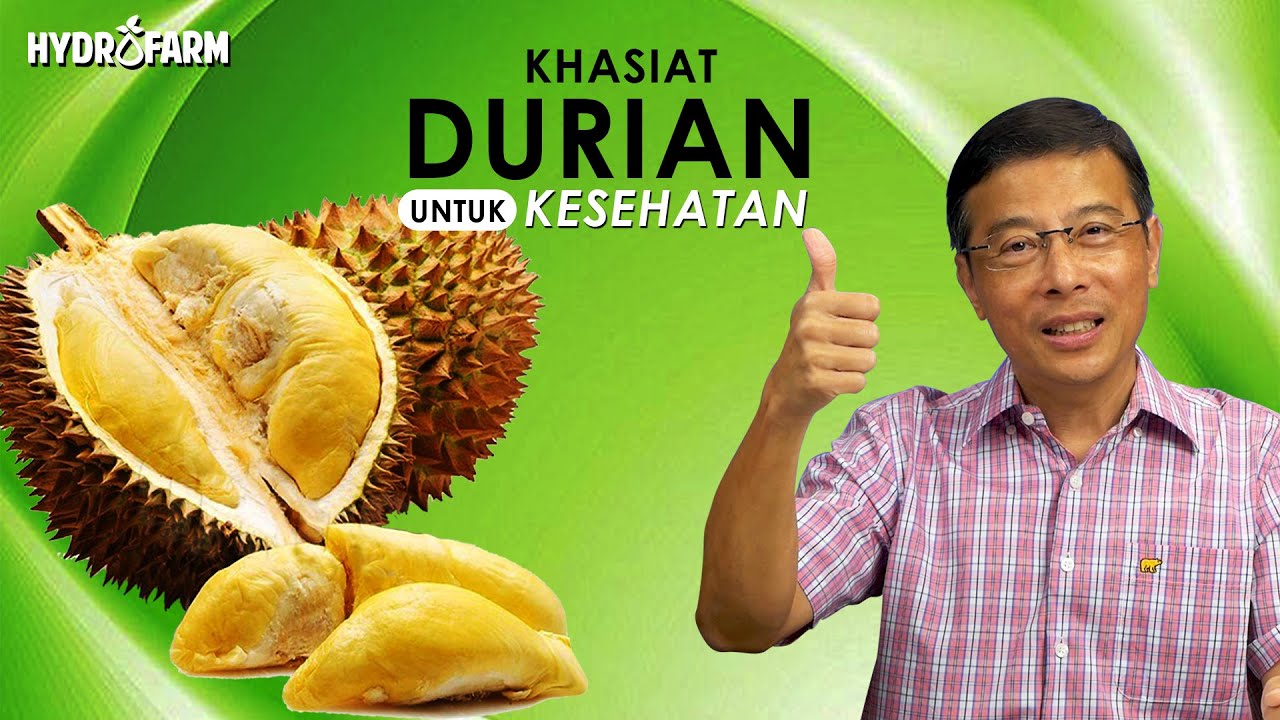 Khasiat Durian untuk Kesehatan