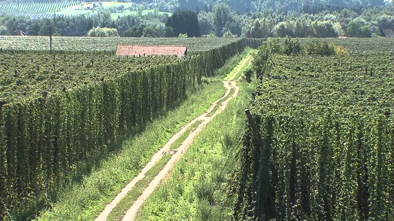 Žalec in njegova okolica