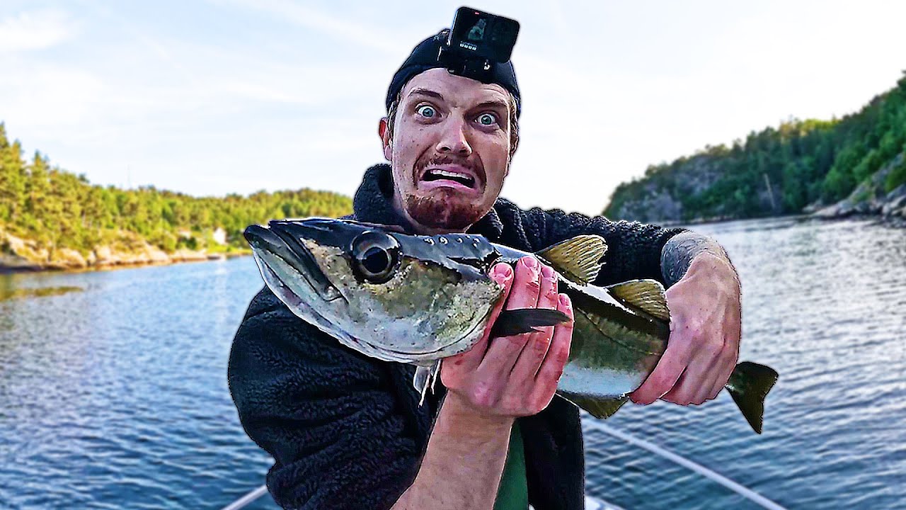 Her Er Det Fisk