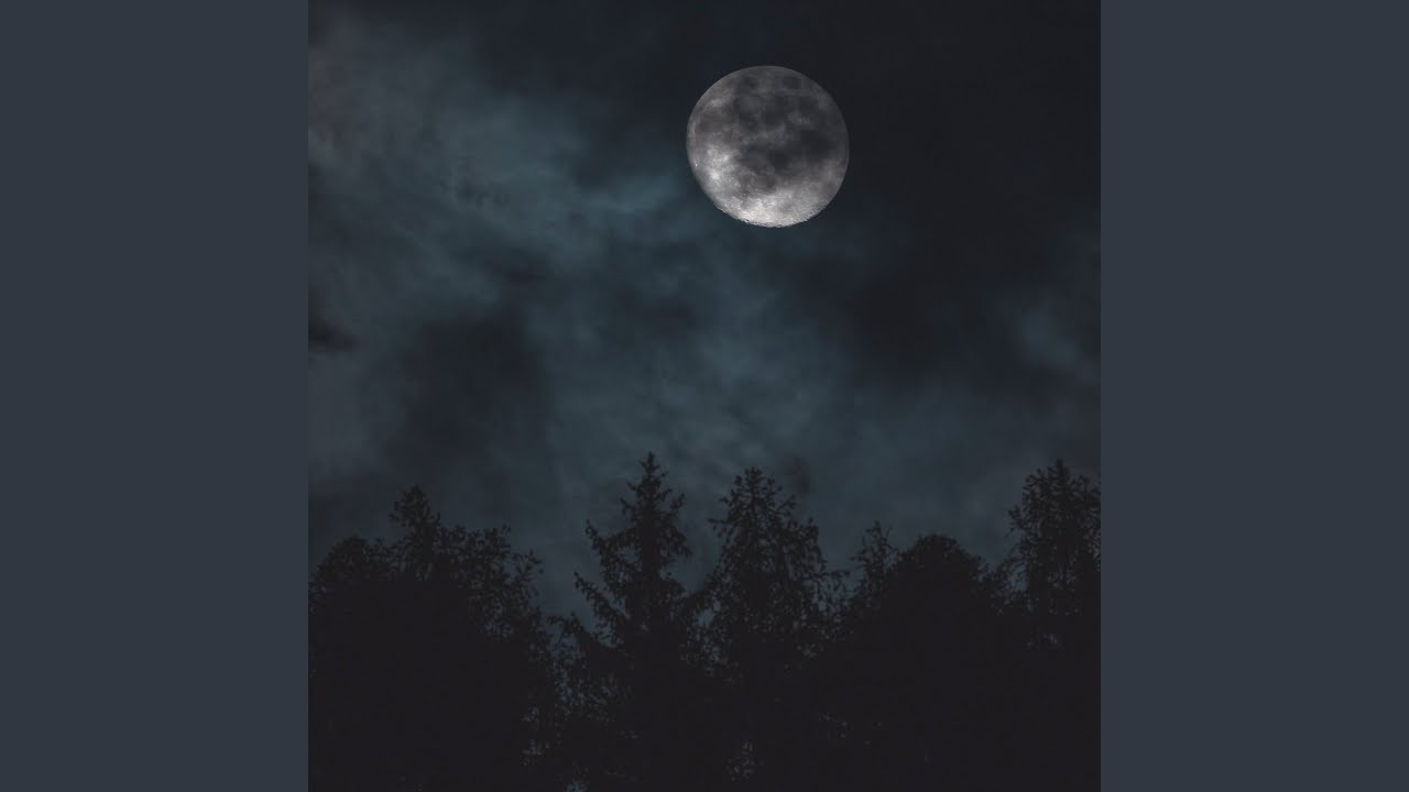 Dark Night