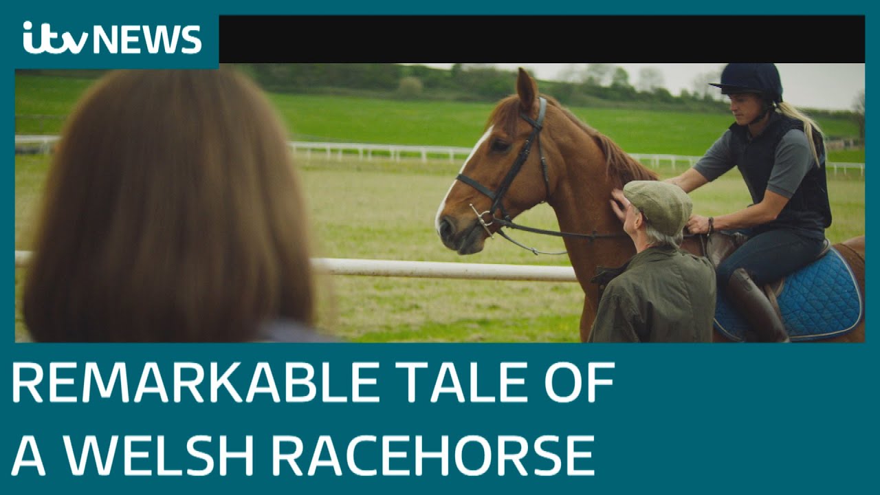 From Blackwood to Hollywood: Remarkable story of Welsh racehorse made into film | ITV News