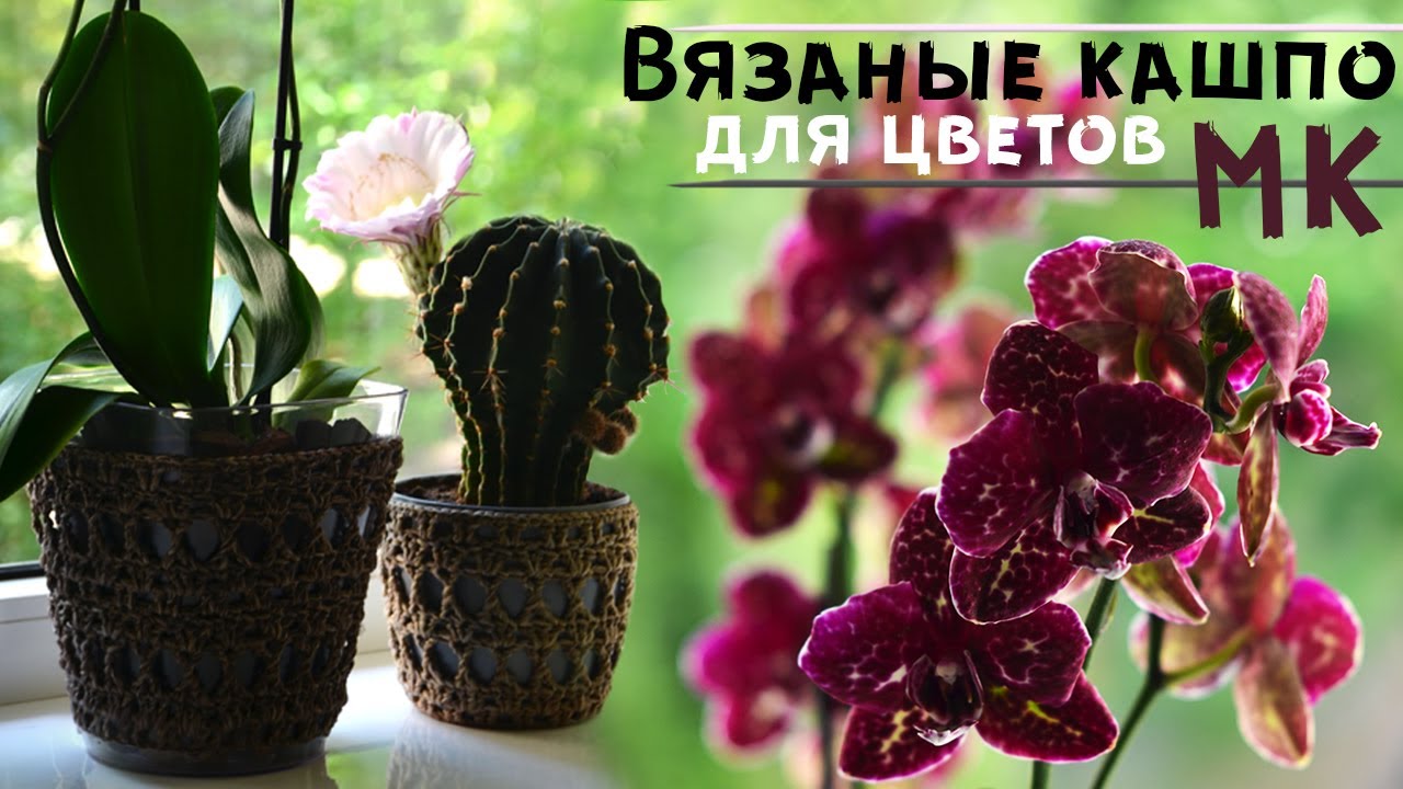 Вязаные кашпо для цветов своими руками. 💮 Кот и орхидея 