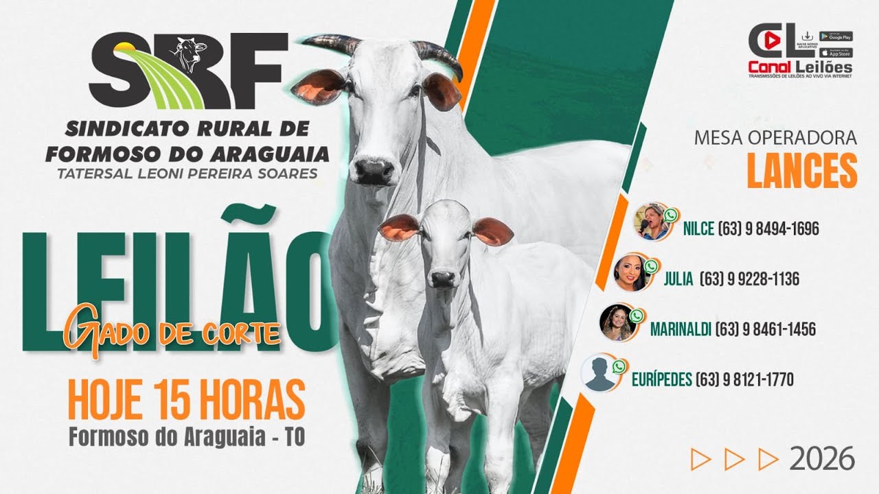 LEILÃO GADO DE CORTE SINDICATO RURAL DE FORMOSO DO ARAGUAIA-TO 13/03/2026