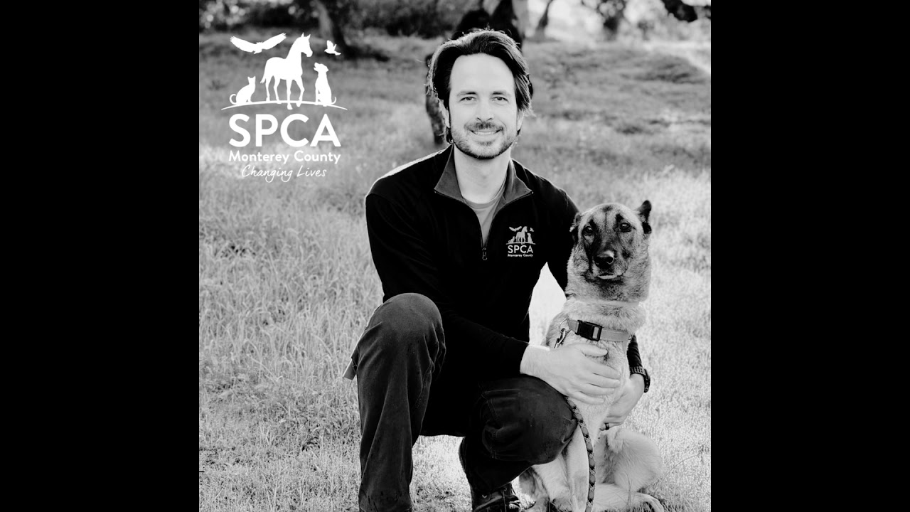 SPCA Stories - Les Lamcke, SPCA Monterey County Facilities Manager