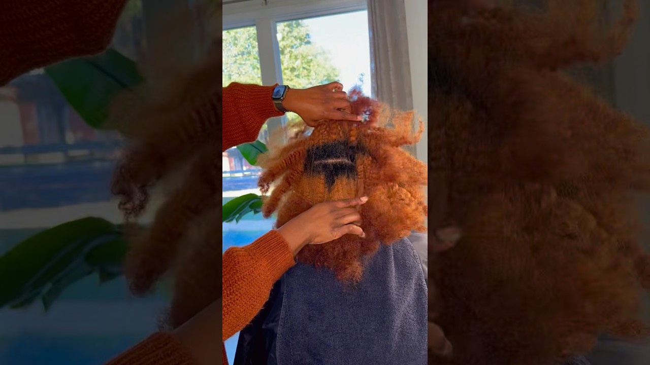 Watch Me Restore Her Chemically Damaged Hair‼️ | Ft. Amika The Kure