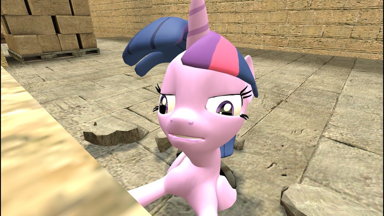 Counter Strike vs. Ponies!
