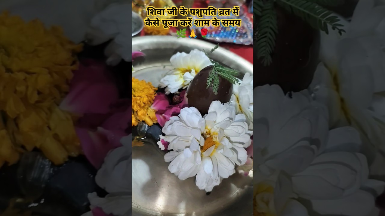 ll How to worship Lord Shiva in the evening? ll🌹🙏🌿#youtubeshorts #shortvideo #viralvideo #like