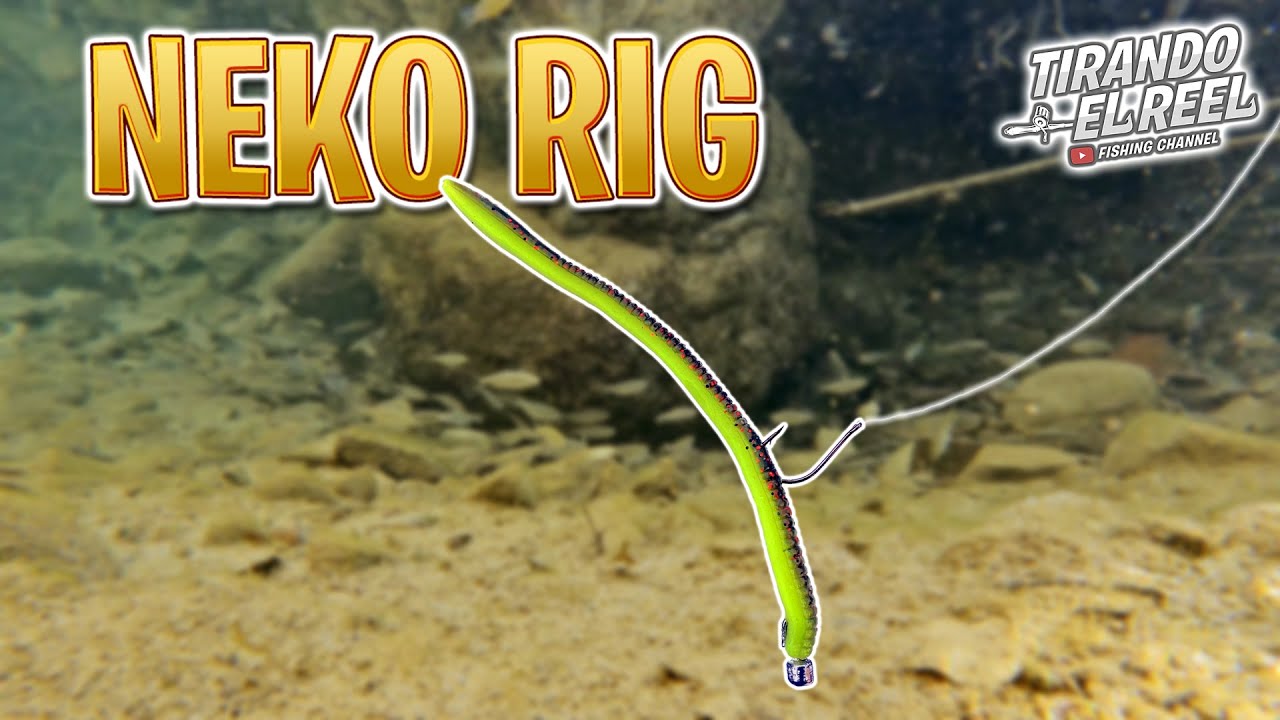 NEKO RIG - Guía Básica para aprender a usarlo