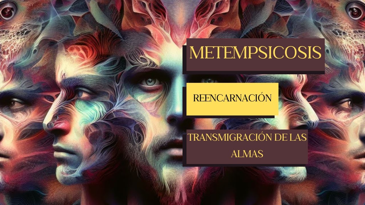 Metempsicosis, Transmigración de las Almas y Reencarnación - Canal del Aprendiz