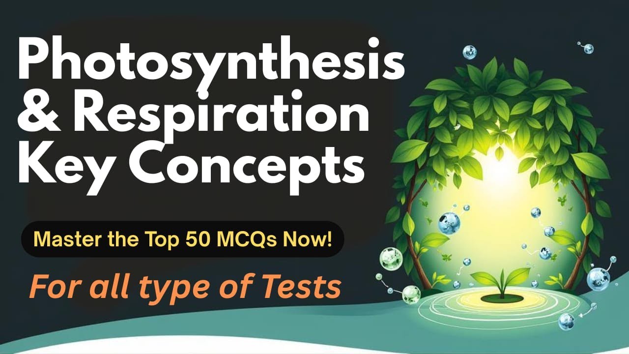 Photosynthesis & Respiration in Plants | Everyday Science | JST JEST PST EST SST TGT ECT | CCE CSS