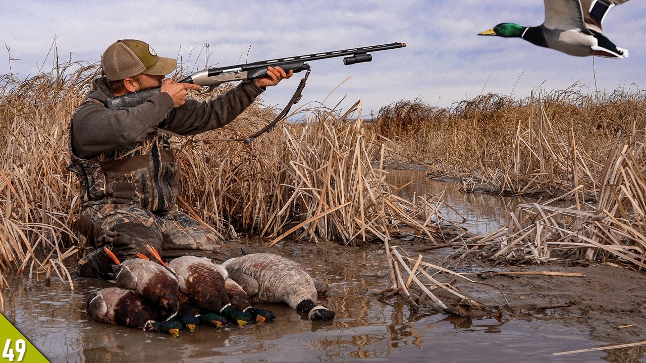 ONE HOUR Mallard LIMIT! (All Drakes) | Decoying DUCKS Into a TINY Spread!