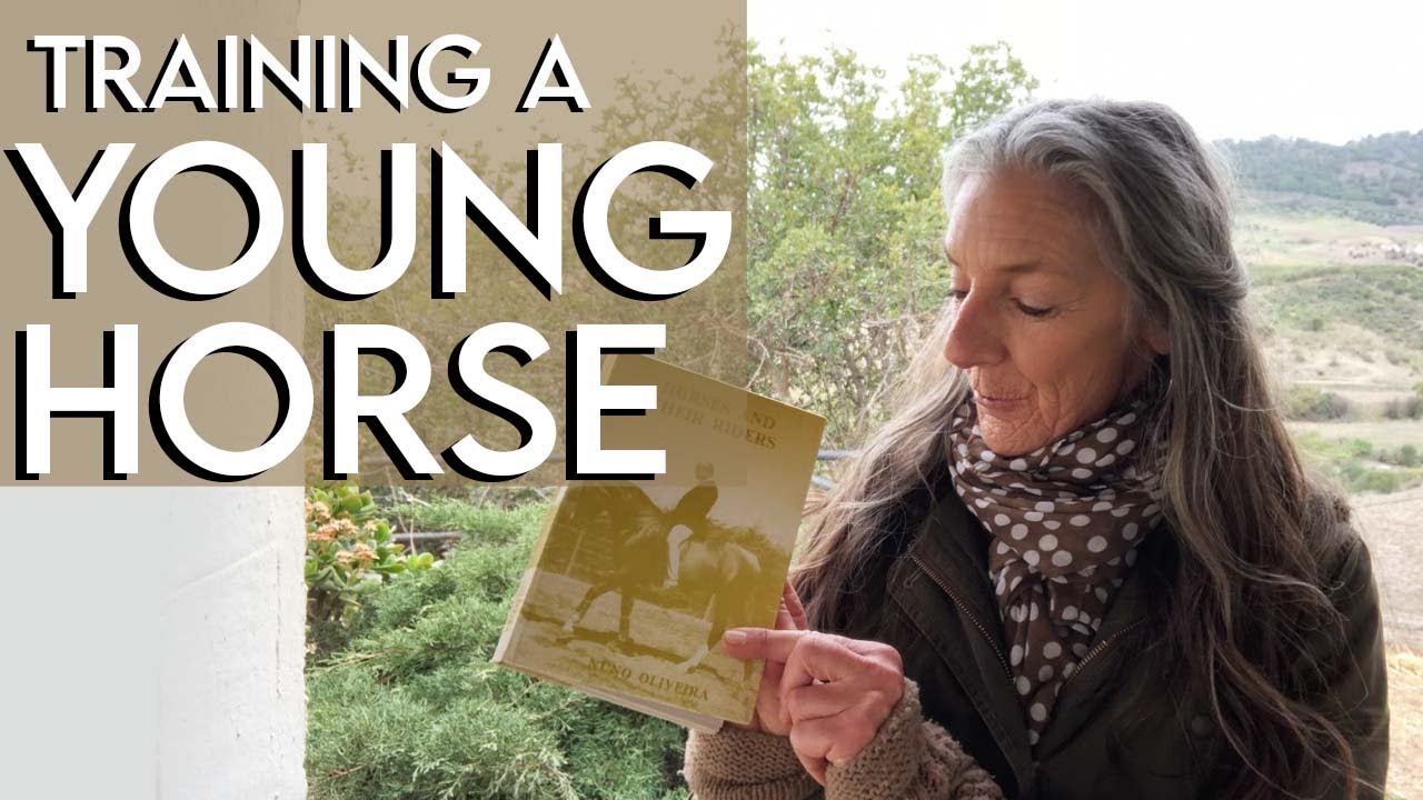 Next Phase of TRAINING a Young Horse | Nuno Oliveira Book 4 Chapter 3