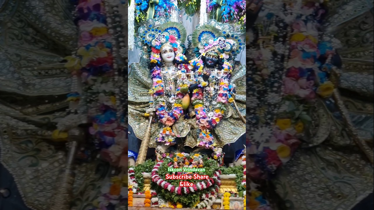 Iskcon Vrindavan darshan kirtan ##iskcon #vrindavan #darshan #kirtan #shorts #viral #krishna #radha