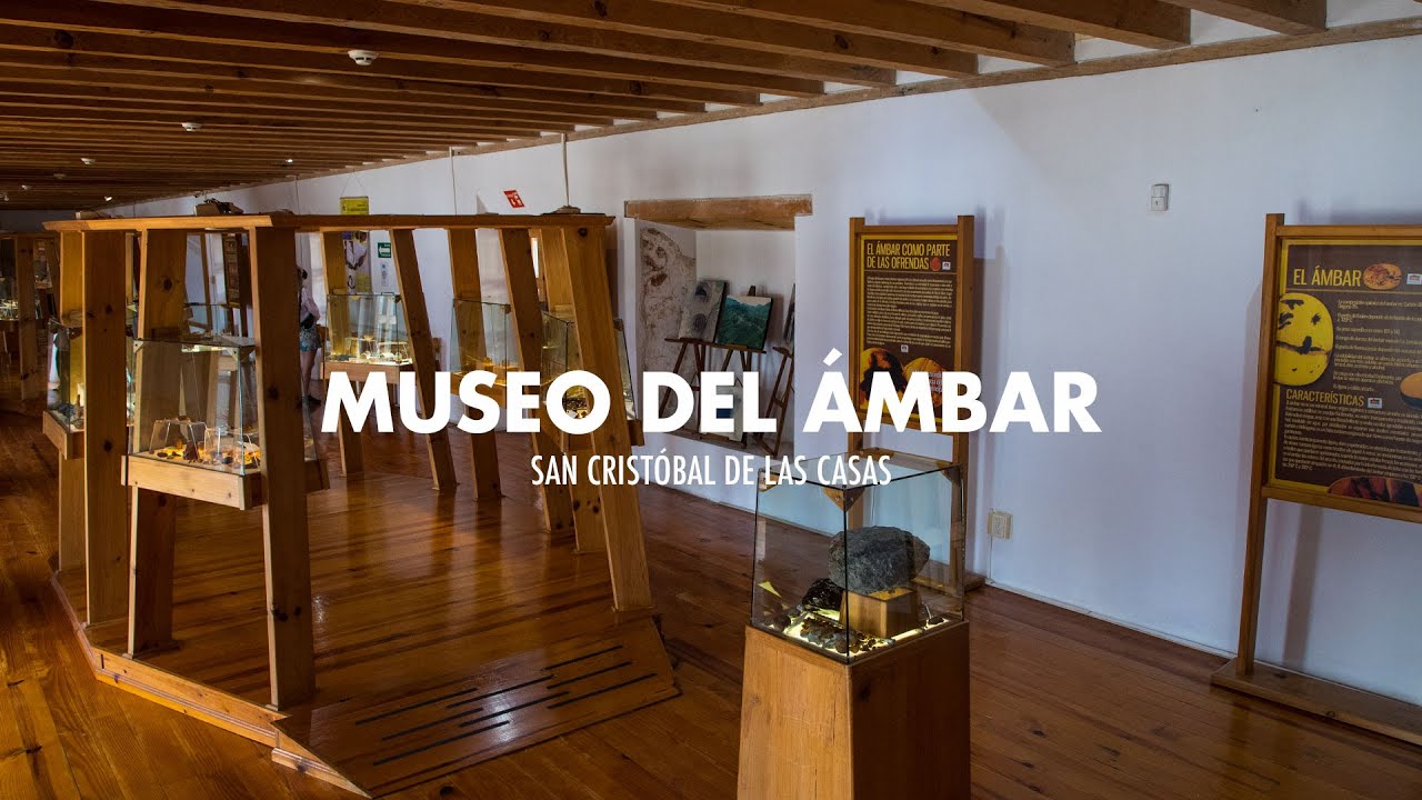 DESCUBRE UN PORTAL HACIA UN MUNDO PERDIDO: EL MUSEO DEL ÁMBAR DE CHIAPAS