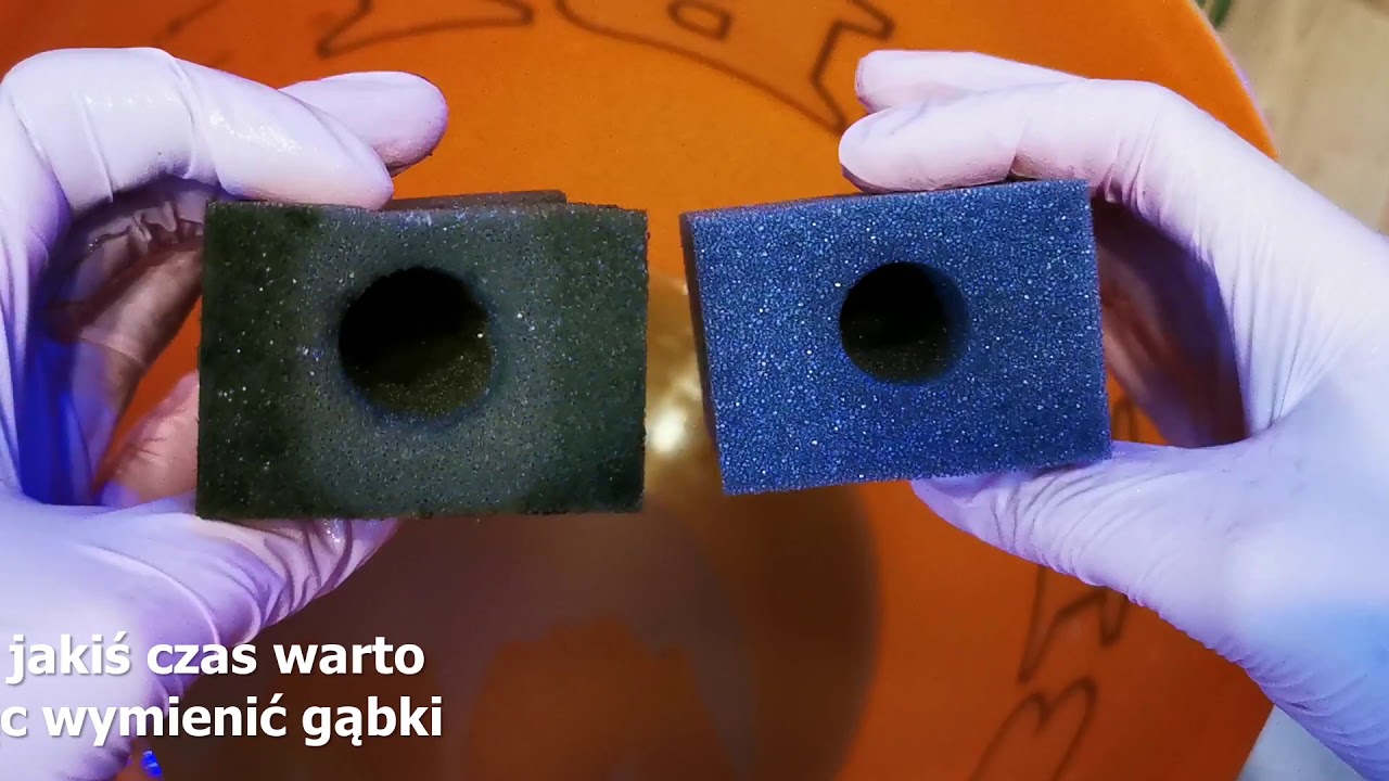 Cyjanobakterie - historia nierównej walki