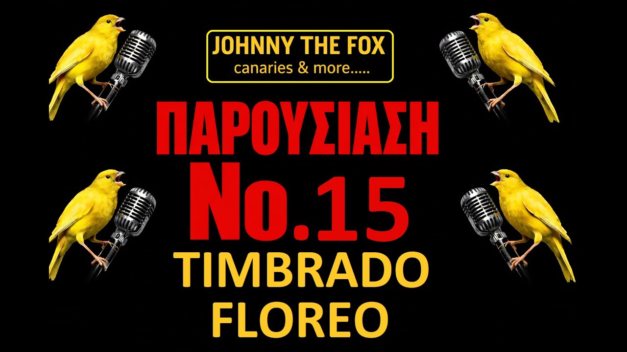 TIMBRANDO FLOREO INTERMEDIATE  ΠΑΡΟΥΣΙΑΣΗ Νο 15