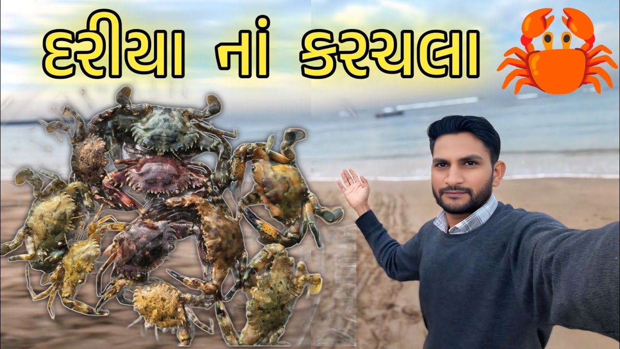 દરીયા નાં કરચલા🦀Sea Crabs