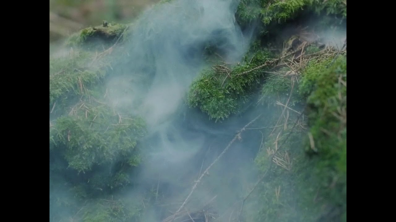 Paradiso Rhythm - Laura Palmer On Acid