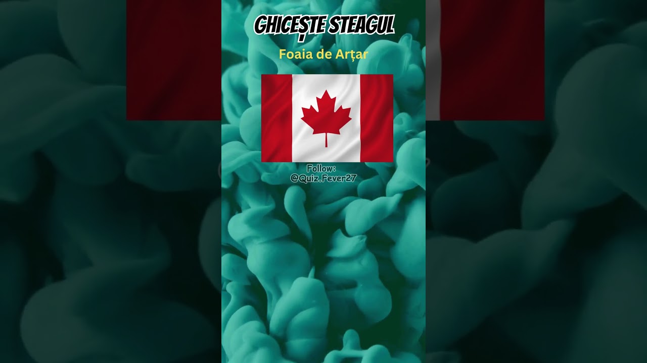 Ghicește STEAGUL! Nivel: ușor #quiz #trivia #test #provocare #romania #steag #steaguri