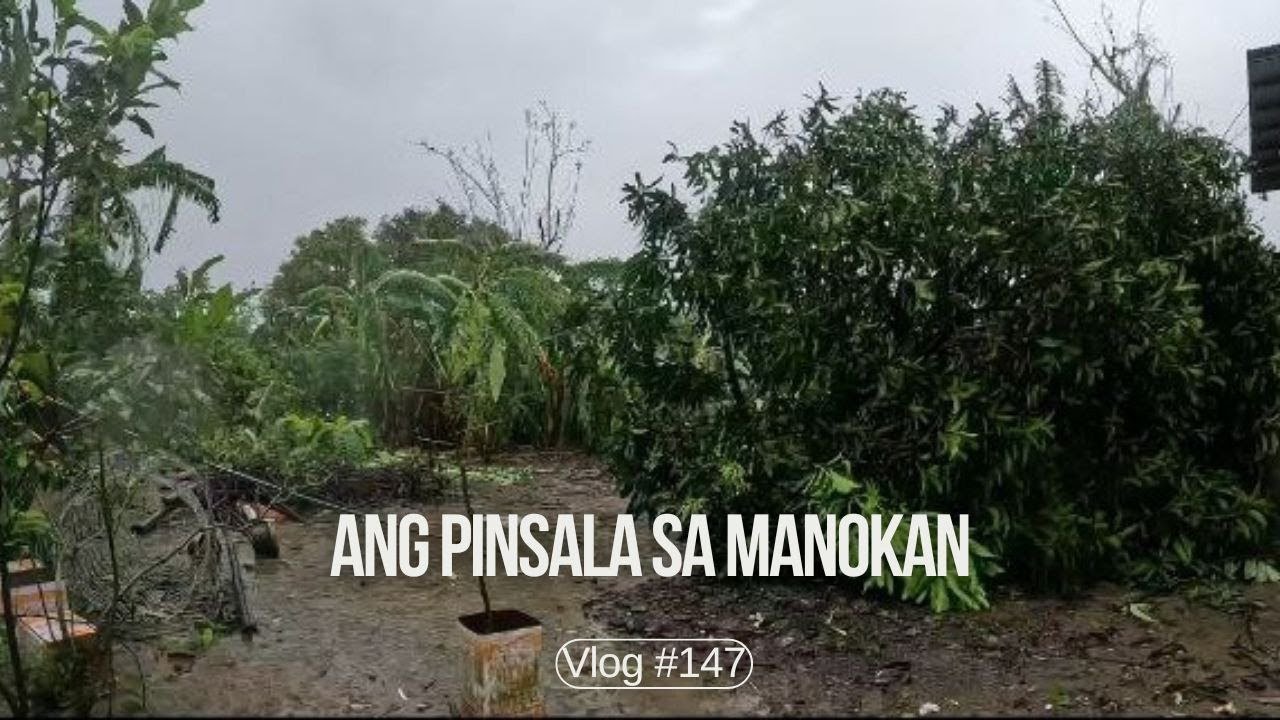 Pinsala sa aking Manokan
