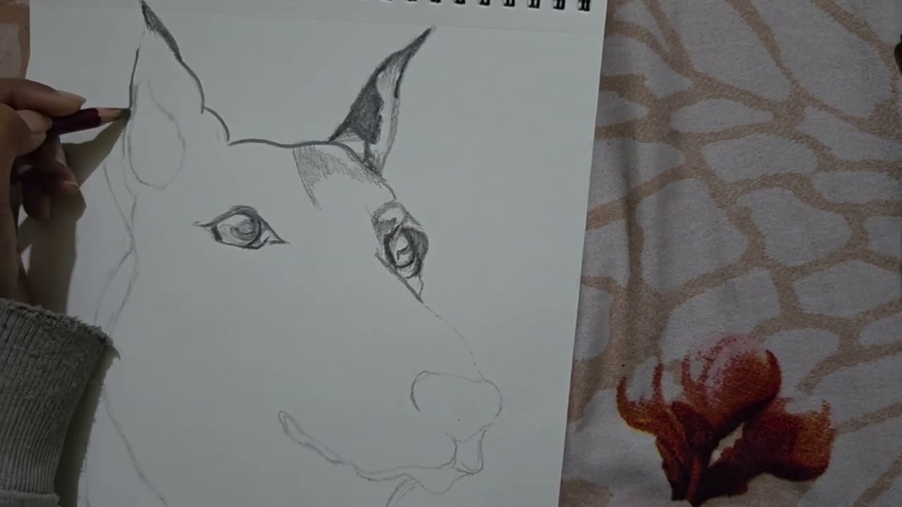 GERMAN SHEPHERD Sketching #art #GERMANSHEPHERD 