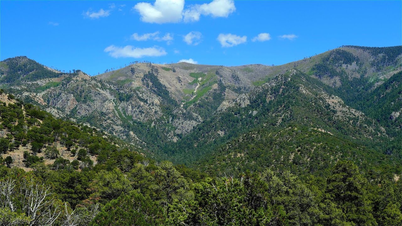 Backpacking Chiricahua Wilderness: Turkey Pen Salisbury Crest Pole Bridge Loop Arizona May 2024