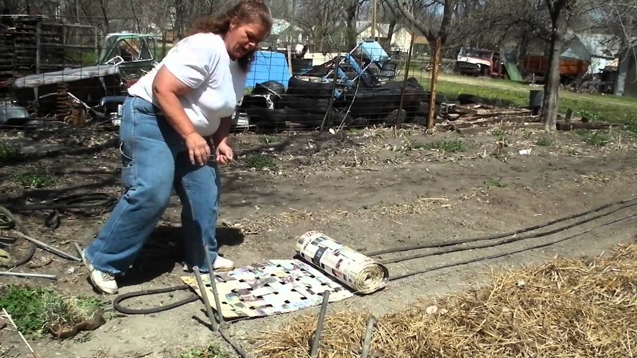 Lazy Gardening: Resilient & Weed Free Onions