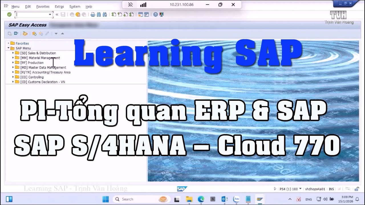 Tổng quan ERP và SAP (SAP S/4HANA on Cloud 770) - Phần 1 | Learing SAP 