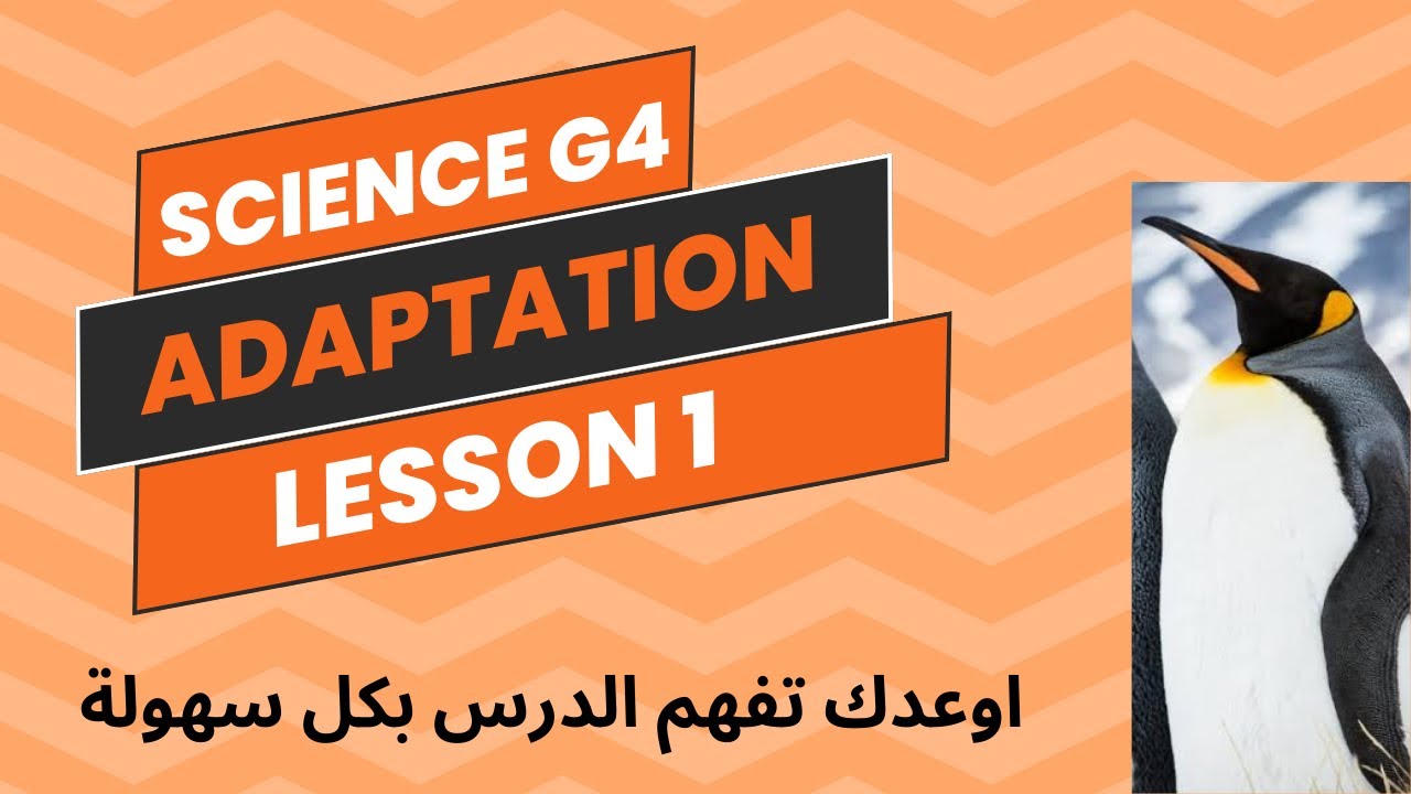 Science G4| Concept 1 -lesson1 Adaptation (2025)