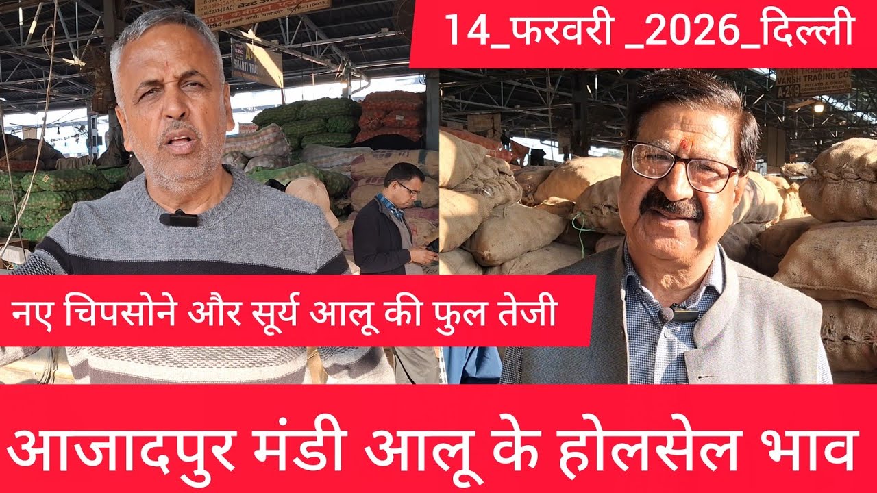 February 14, 2026 दिल्ली 🥔आलू के भाव Azadpur Delhi mandi today #PotatoMarket #delhipotatomarket 