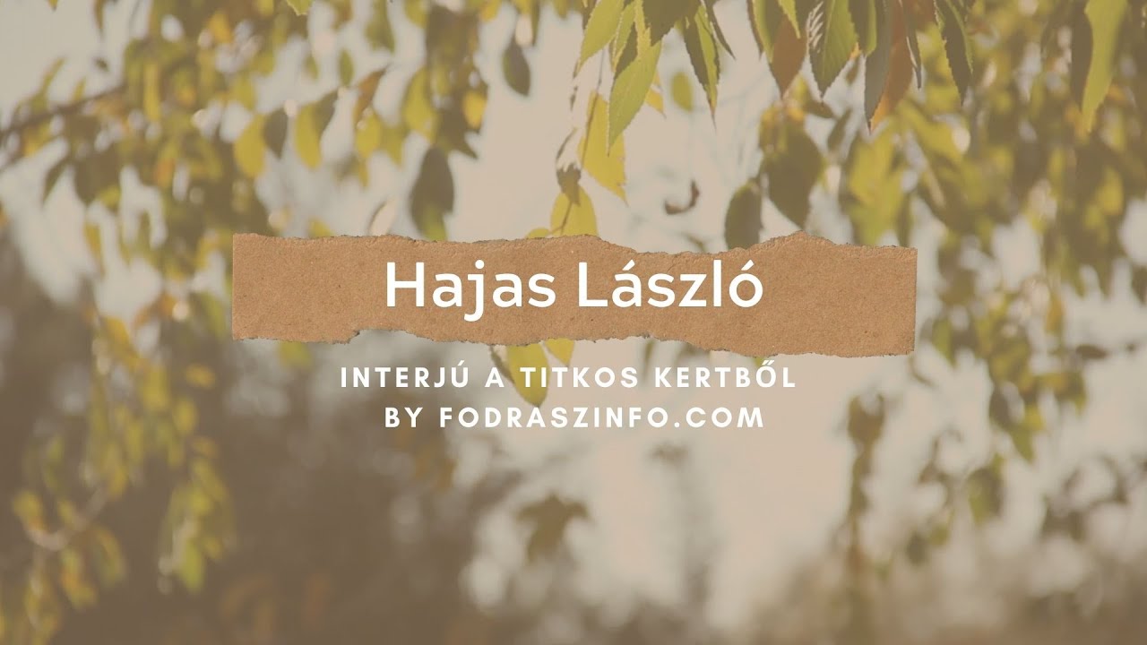 Hajas László interjú: fodrászok a koronavírus idején @ Fodrászinfó