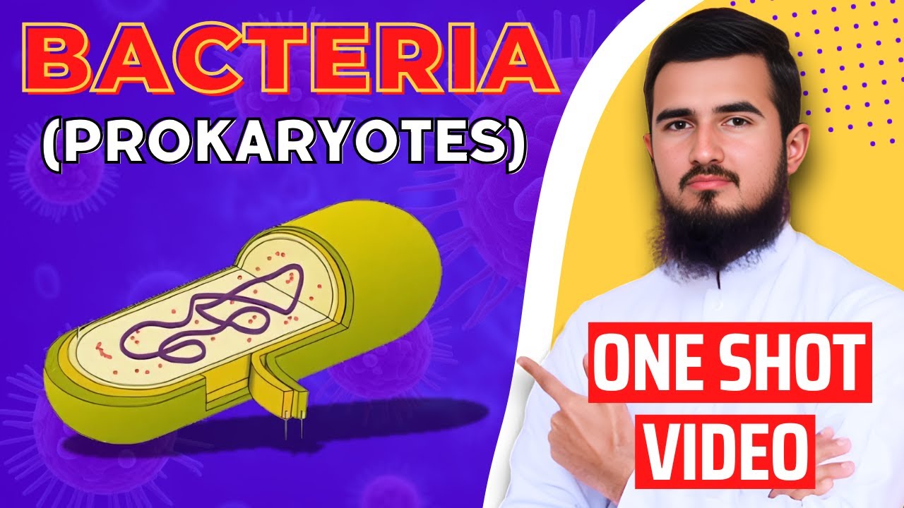 Prokaryotes (Bacteria) Full Chapter In One Shot! - MDCAT Biology | Kingdom Monera By Sir Samiullah