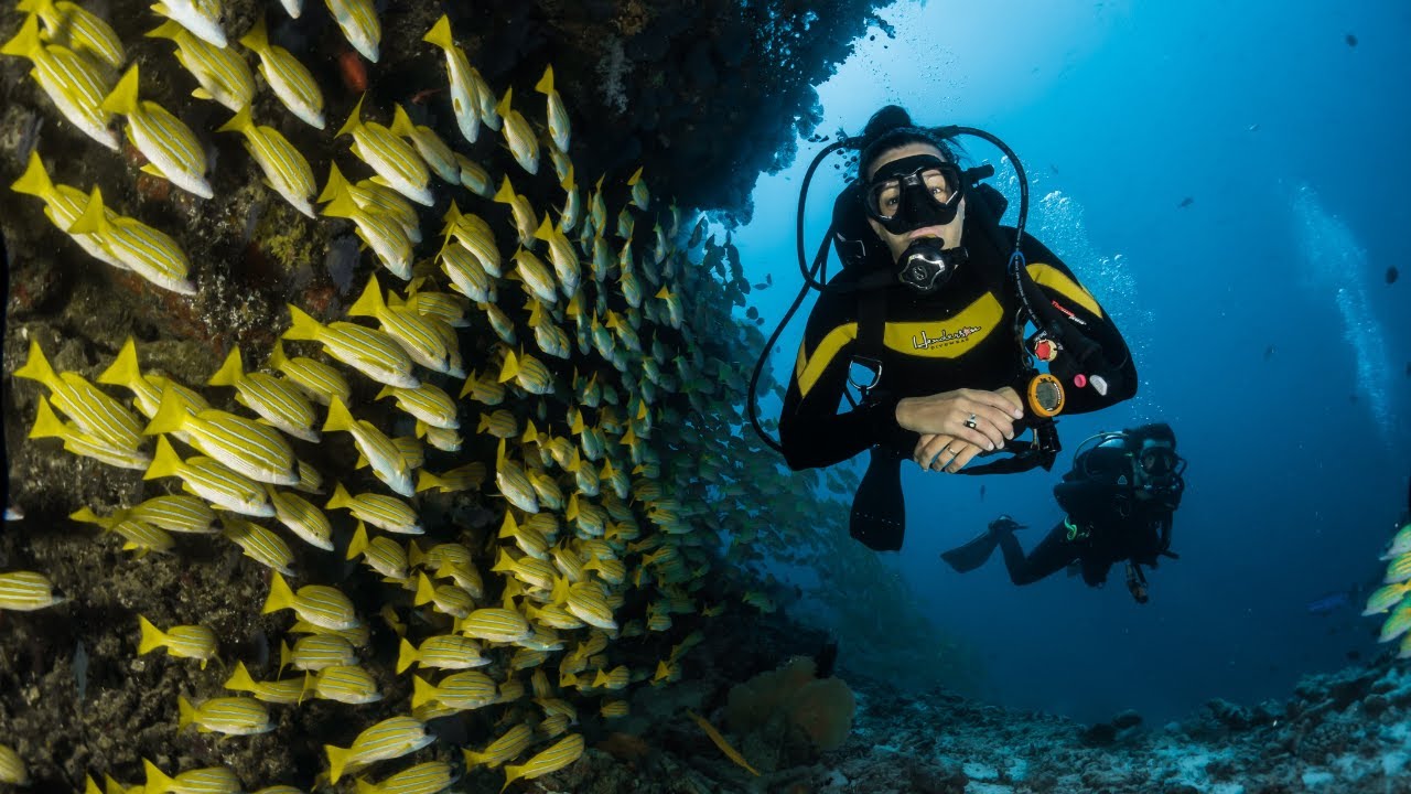 THE BEST 5 ADVENTUROUS ACTIVITIES YOU MIGHT WANT TO TRY ONCE IN A LIFETIME
