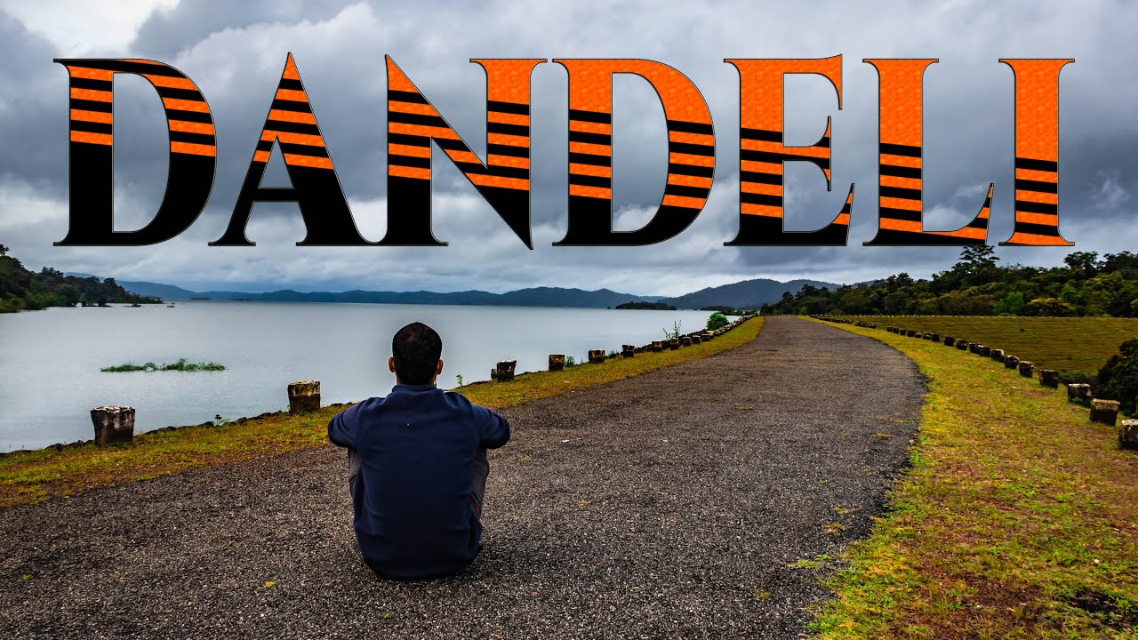 DANDELI THE ADVENTURE CAPITAL OF SOUTH || SUPA DAM BACKWATER || JUNGLE CAMP || Karnataka Ride | EP09