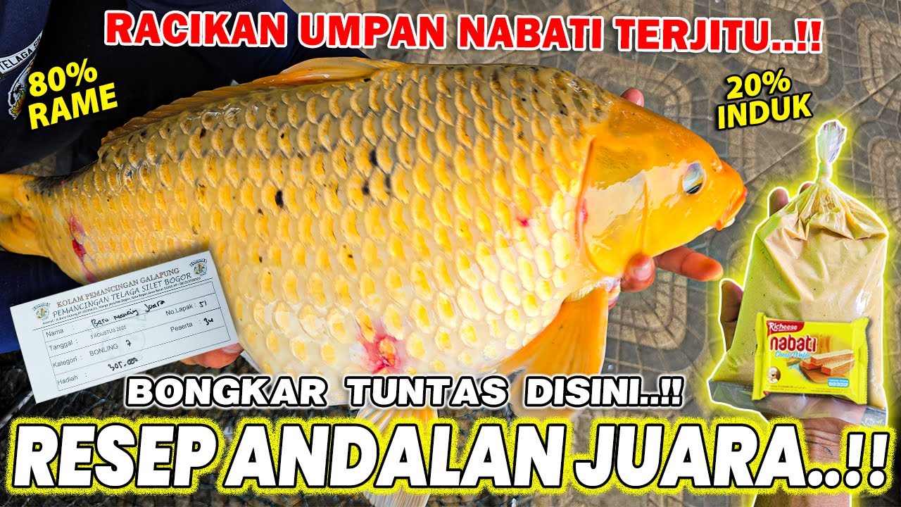 BONGKAR TUNTAS RESEP ANDALAN JUARA !! UMPAN ANTI GAGAL WAFER NABATI TARGET INDUK & RAME ❗❗