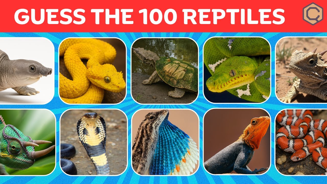 Can You Guess These 100 Reptiles? 🐍🦎 | Ultimate Reptile Quiz Challenge! | Guessing Game for Kids