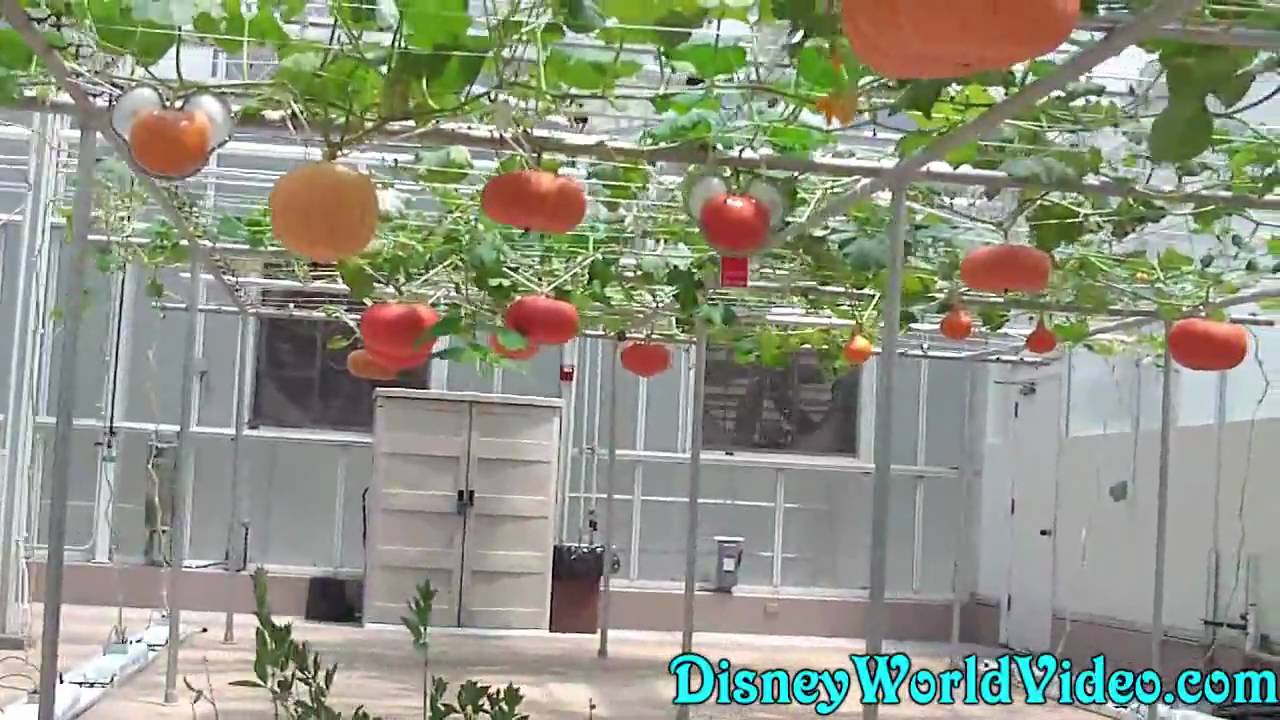 Living With The Land - Epcot
