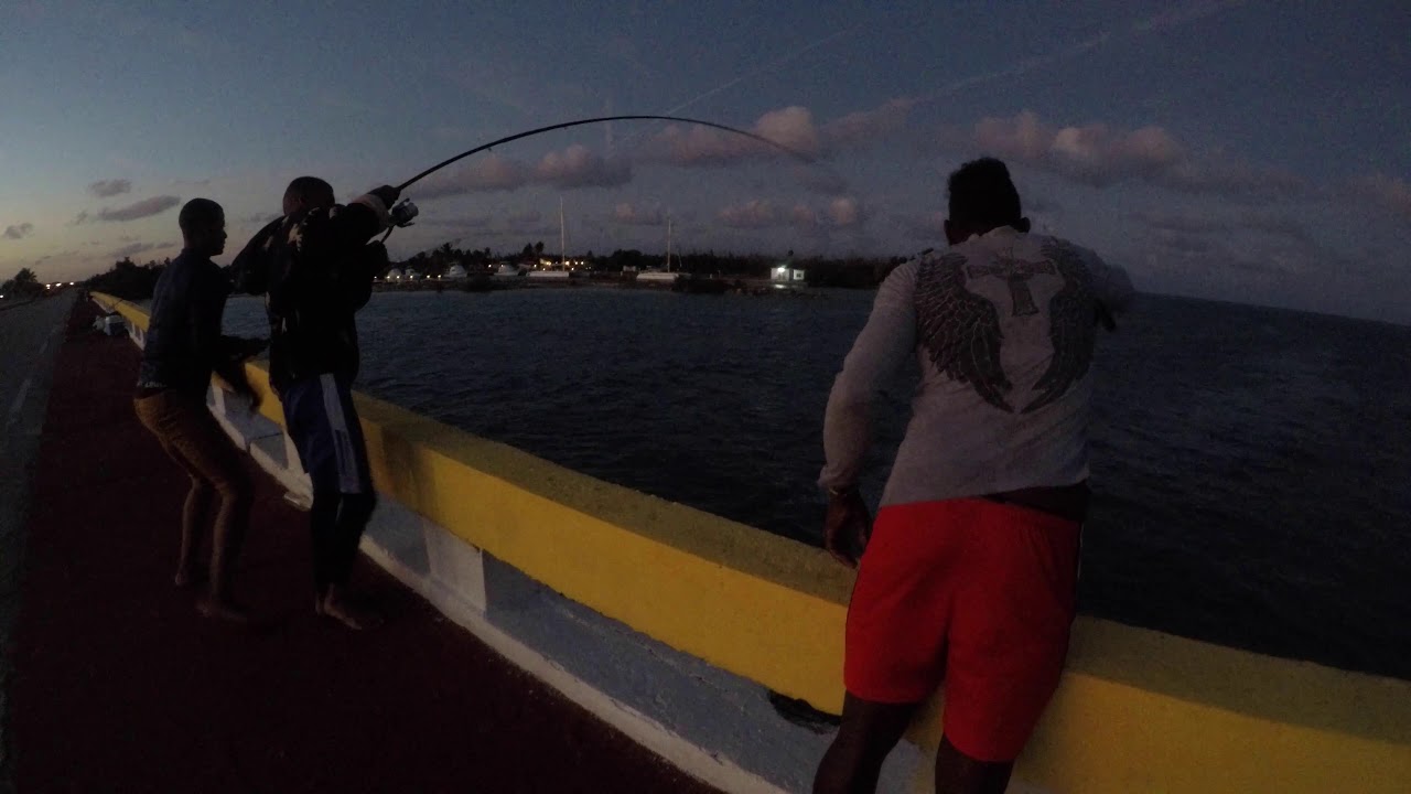 FISHING CUBA 2020