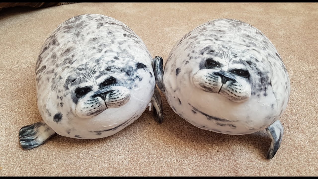 WOW! Chubby Blob Seal Pillow UNPACKING