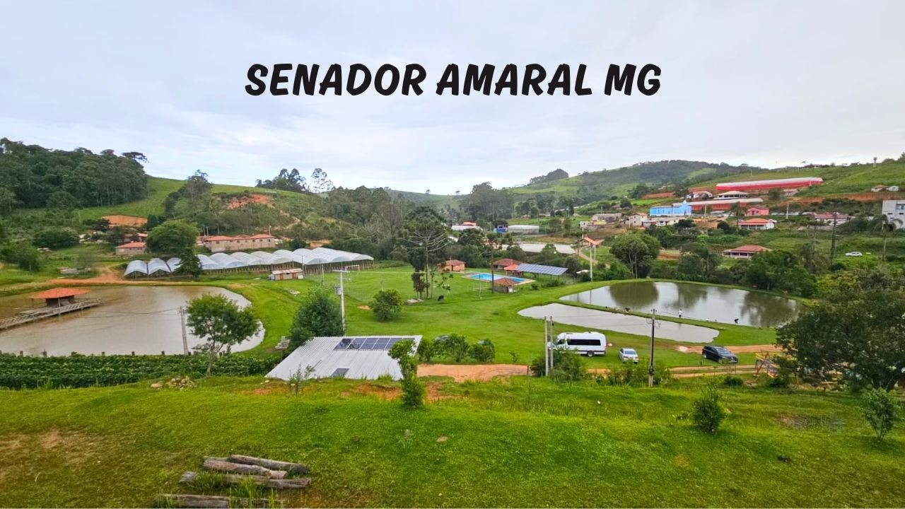 Senador Amaral MG - Passeio da Rota 408 pelo Estado de Minas Gerais - 16° Temp - Ep 46