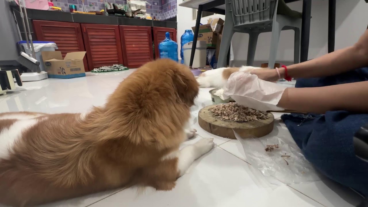 Ending hunger with love