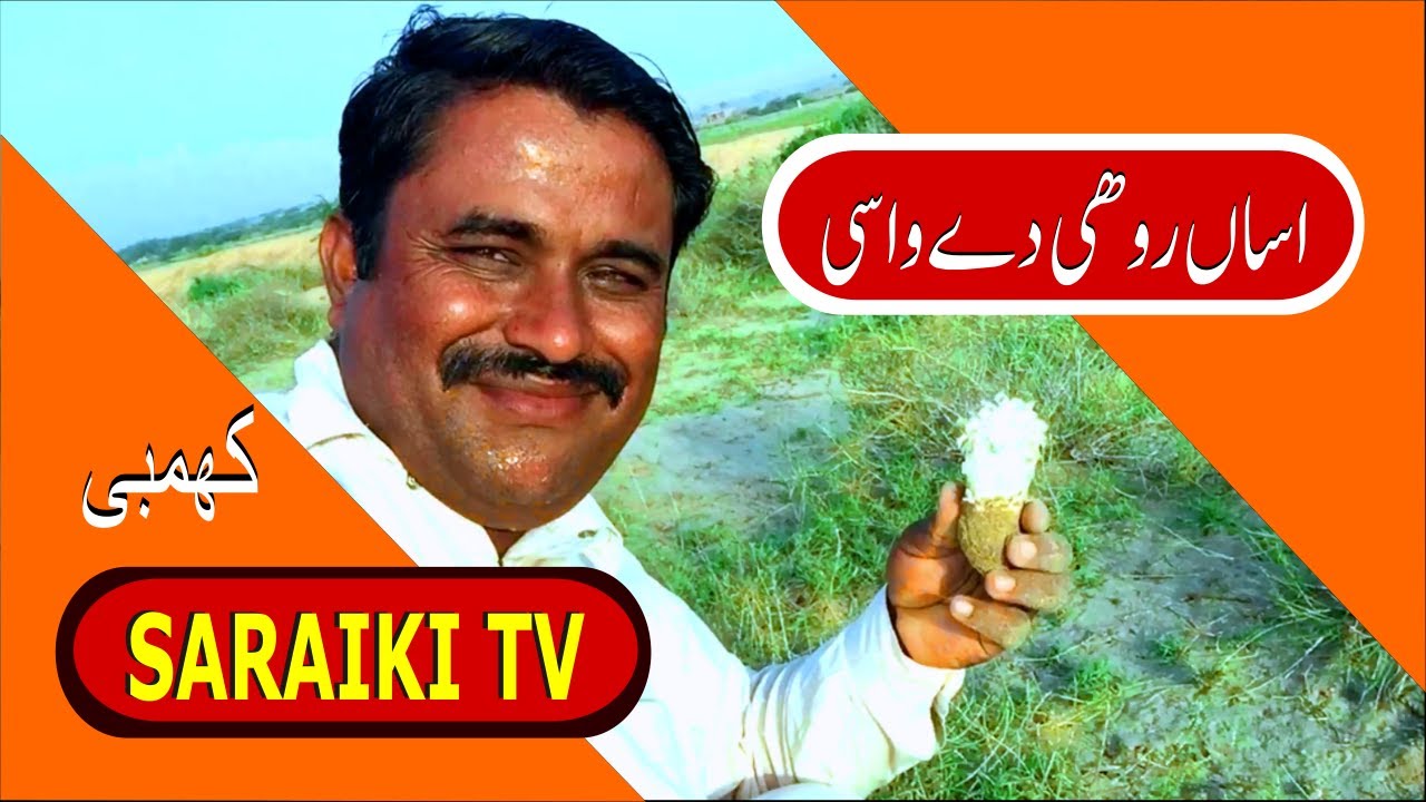 Khumbi Mushroom Dehati Sabzi Saraiki Vlog Dera Ghazi Khan