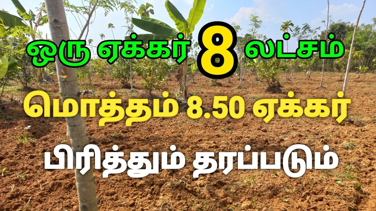 ஒரு ஏக்கர் 8 லட்சம் மட்டும், 2 கிணறு சர்வீஸ் வசதி உள்ளது, 2 BoreWell, Pure RedSoil Land#agriculture
