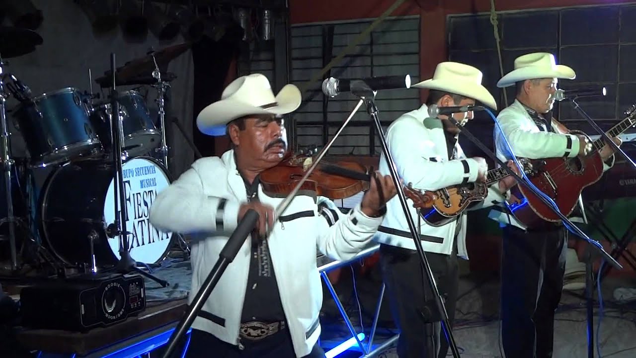 Trío Los Hidalguenses El Caballito